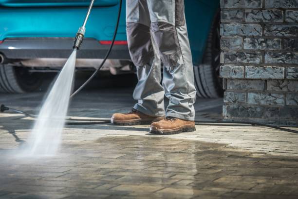 Best Fleet Vehicle Washing  in Palm Beach, FL