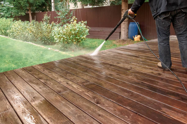 Animal Enclosure Cleaning in Palm Beach, FL
